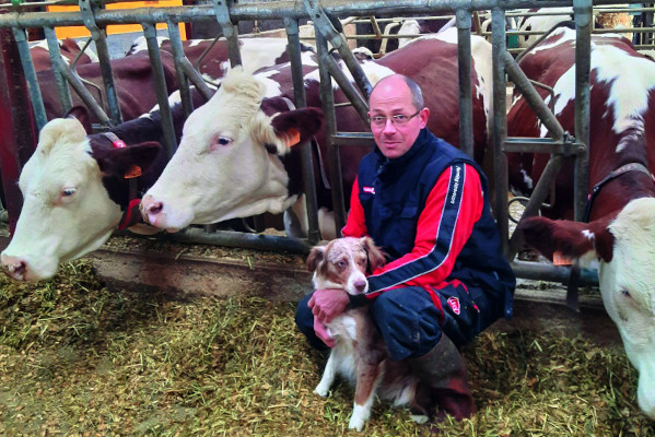 Success story image: JOSILAC – to ensure the quality of the basic feed