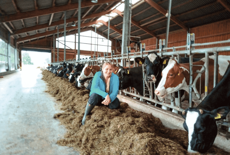 Success story image: JOSILAC – ensures economic success